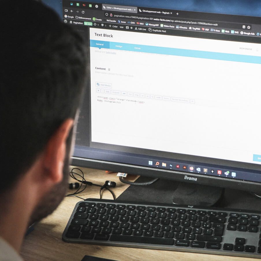 concepteur site wordpress develloppement module e1741098871465