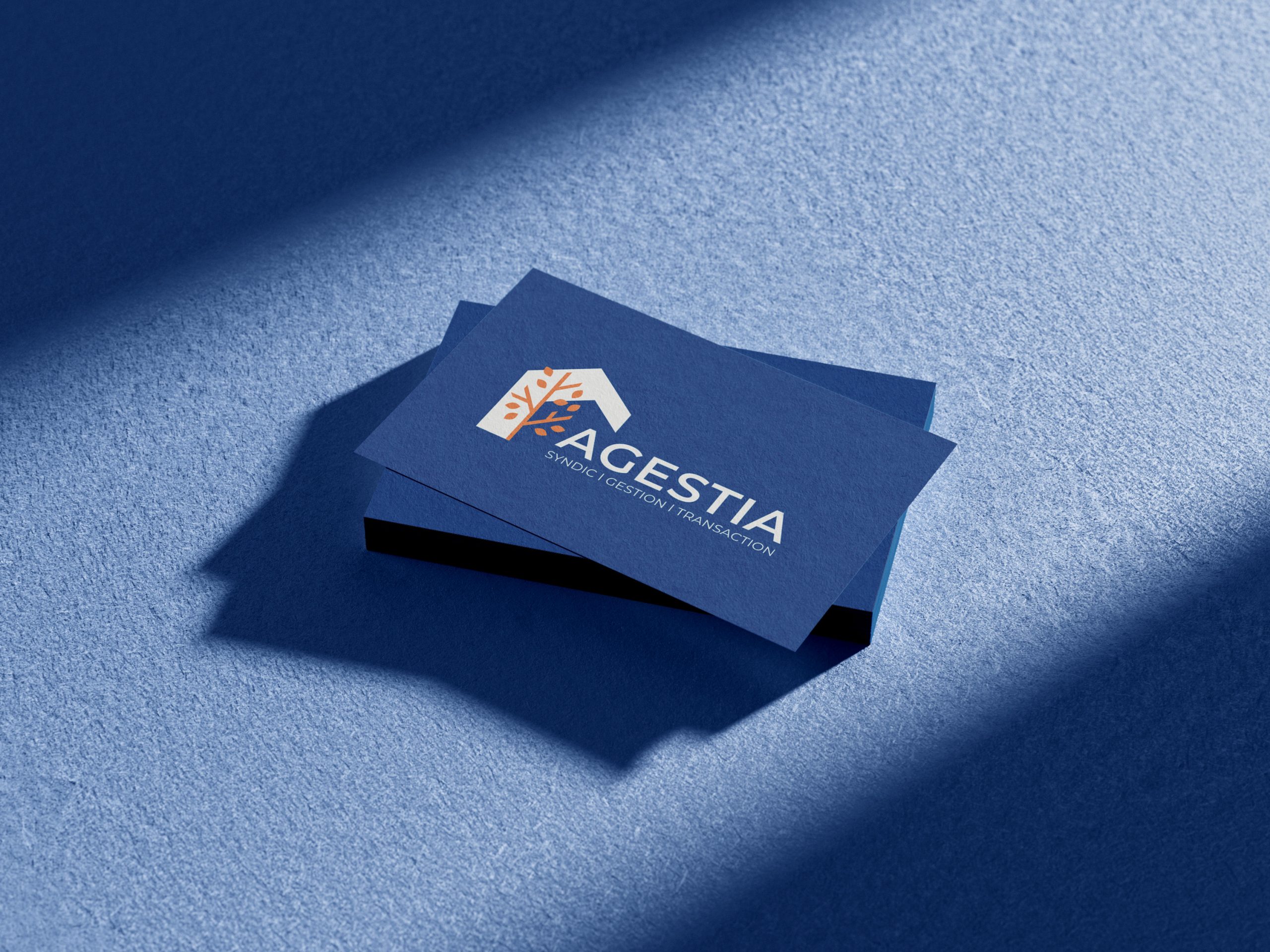 Agestia mock up 1