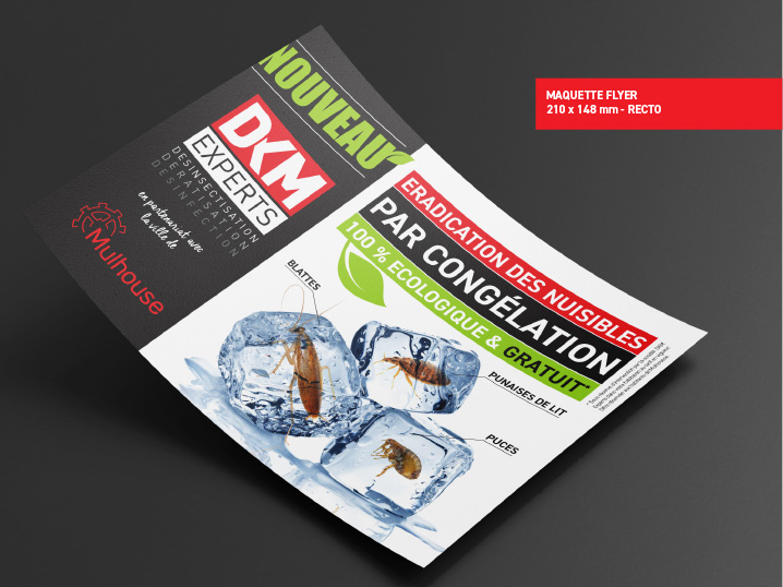 Maquette Flyer DKM congélation Maquette Flyer DKM congélation