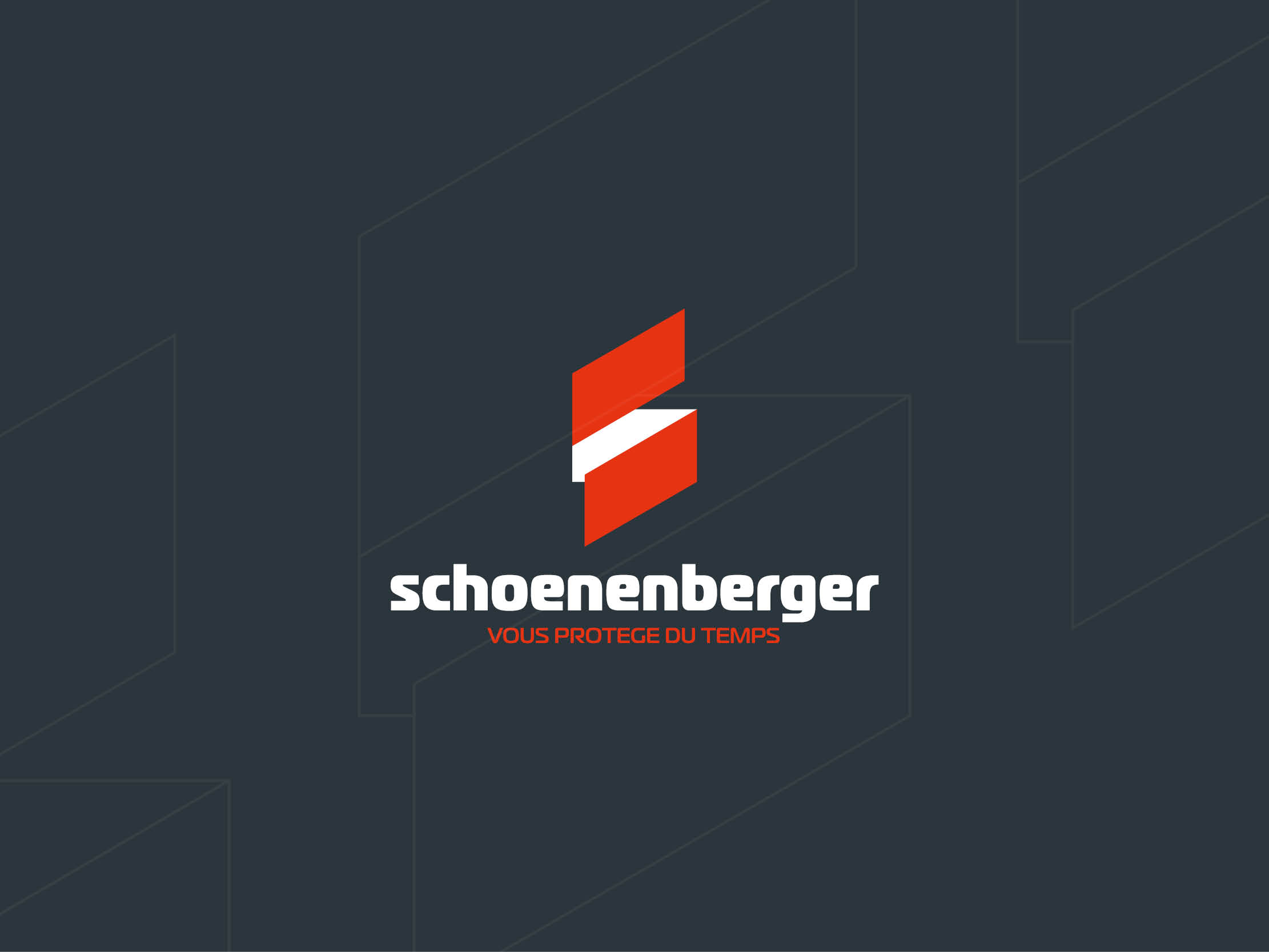 Schoenenberger book 2024 Schoenenberger book 2024